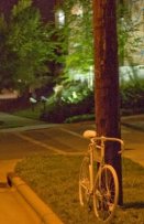 Todd Weaver ghostbike